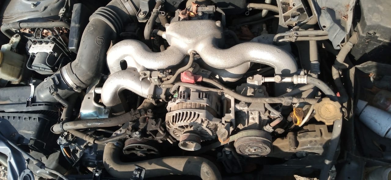 TAPA MALETA Subaru LEGACY 2008 USADO
